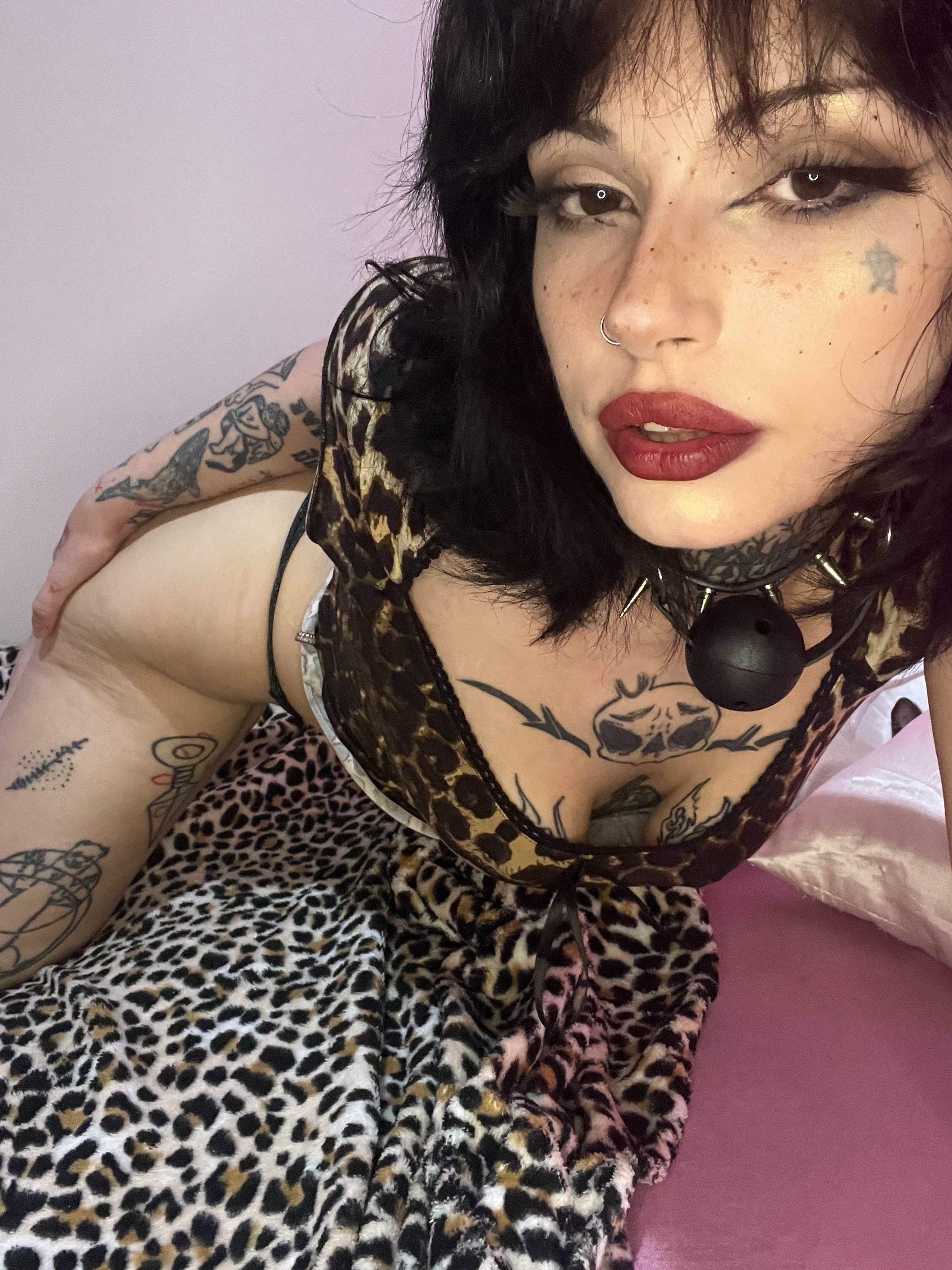 Hurry and get a good look, and then get behind me