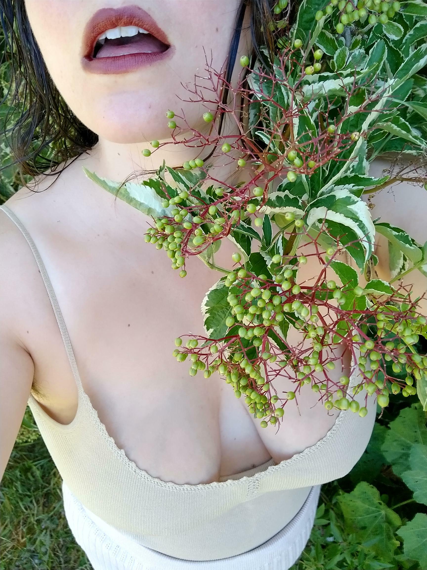 Aren't these nice berries?