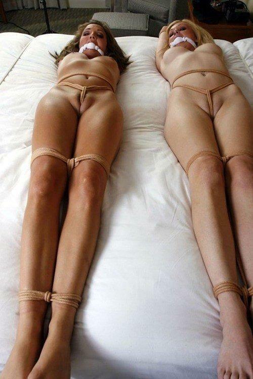 Whenever I see a picture like this I always wonder.... Were they captured together or separately????