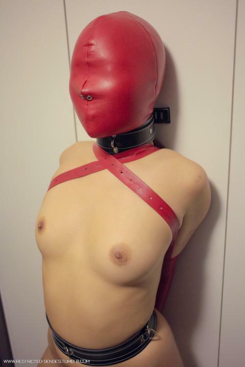 Hooded Blind and Tied Tight