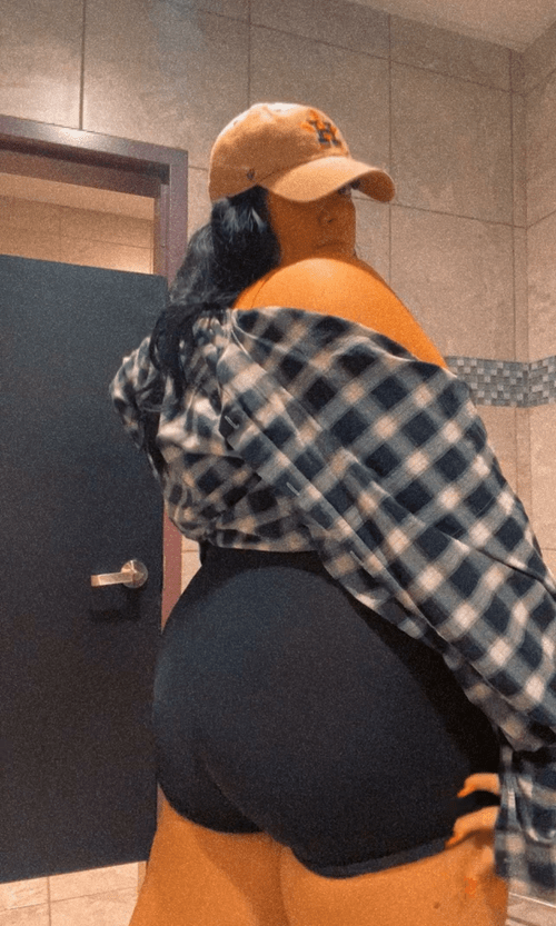 stallion thick