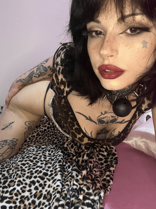 Hurry and get a good look, and then get behind me