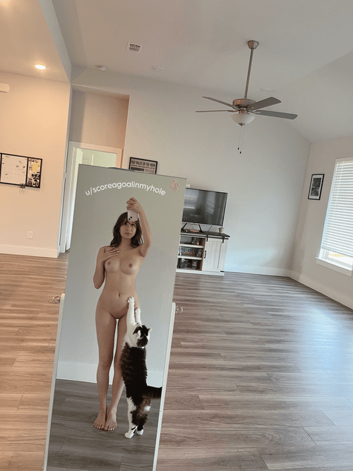 My cat is not a paid actor ?