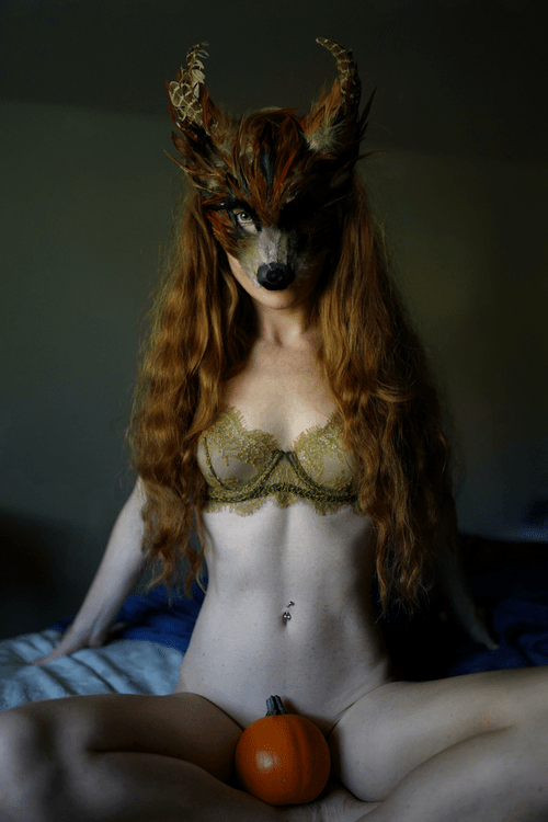 red fox