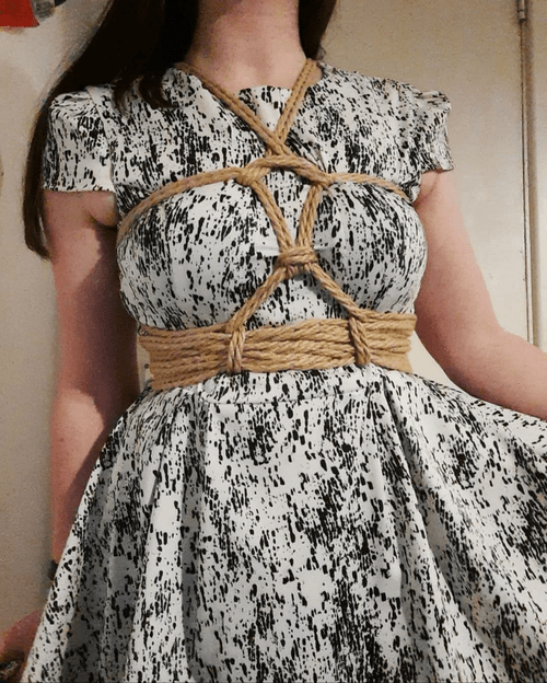 Cute harness in a cute dress ?