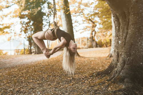 Hanging from a Tree