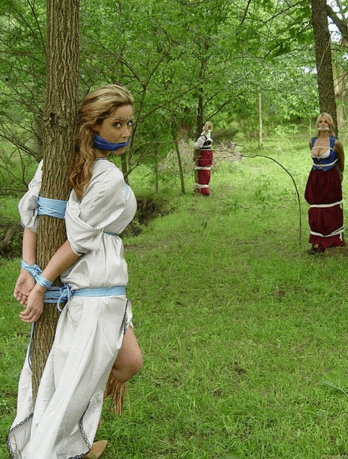 3 damsels in distress.... Tree tied.