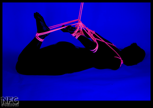 Neon Hogtie