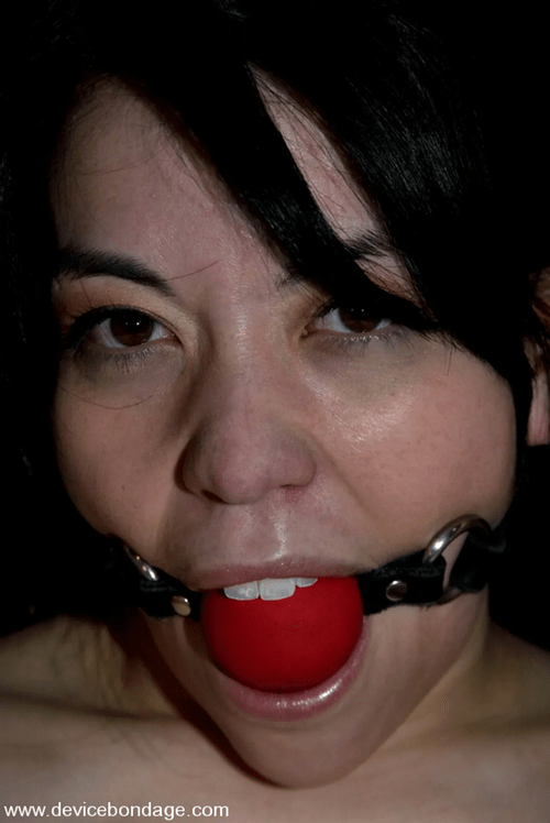 Beauties in Bondage Pt. 3