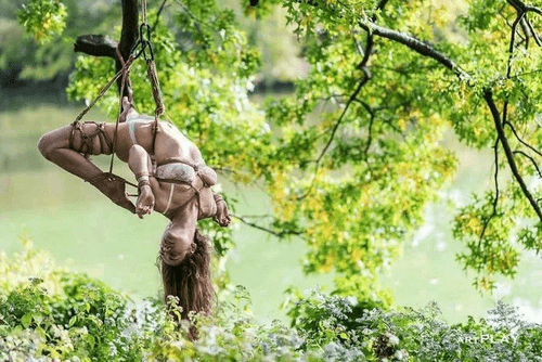 Such sweet fruit dangling in the breeze