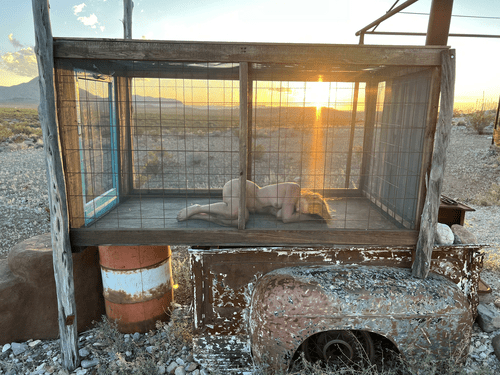 Desert cage from sunset to sunrise 3