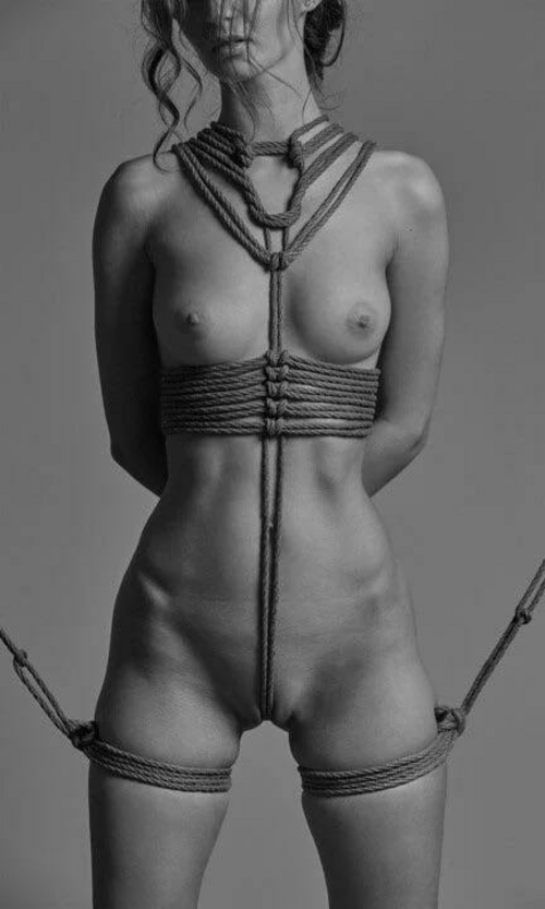 What’s your favorite knot ?