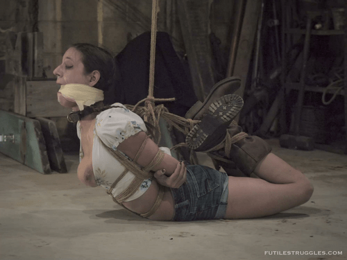Farm girl becomes inventory of the farm