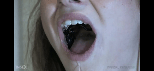 Where am i able to get this?