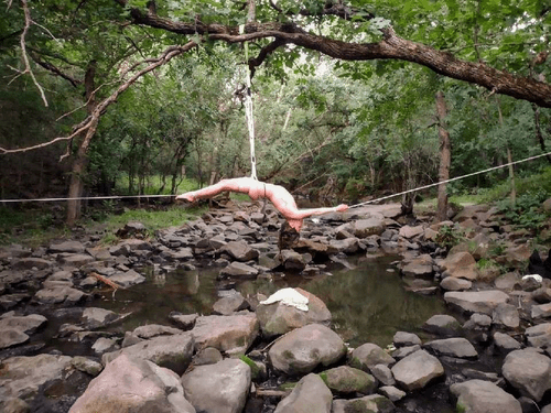 Fun in the forest!