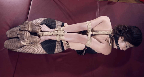 Nice Symmetrical Hogtie