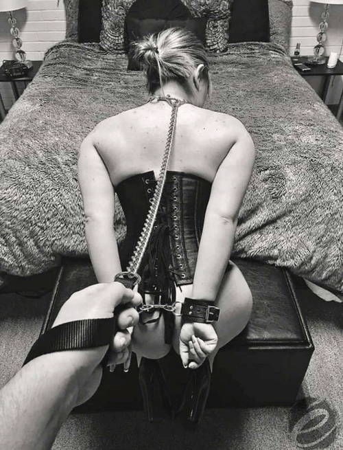 Leashed