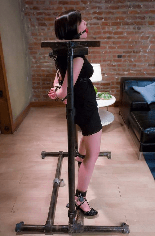 Nice Contraption